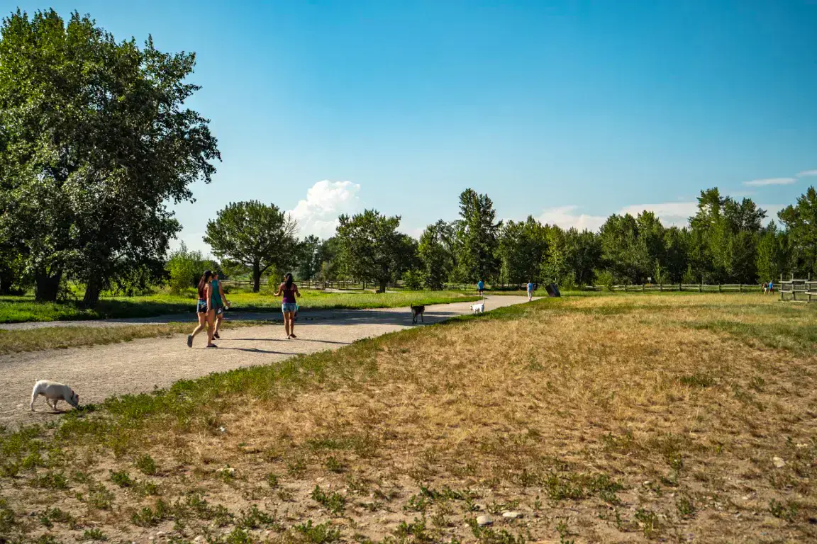 Acadia community in Calgary
